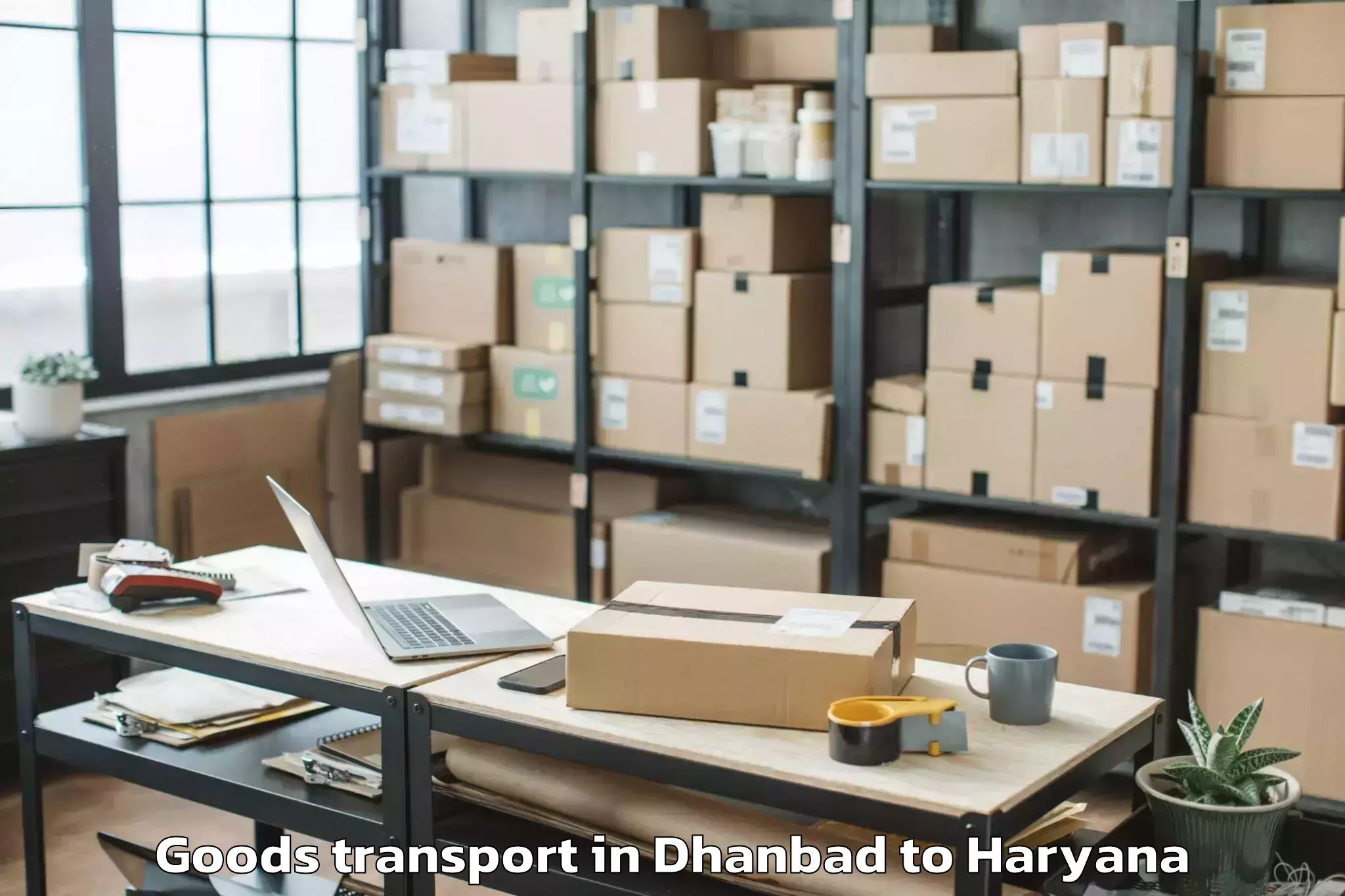 Top Dhanbad to Nilokheri Goods Transport Available